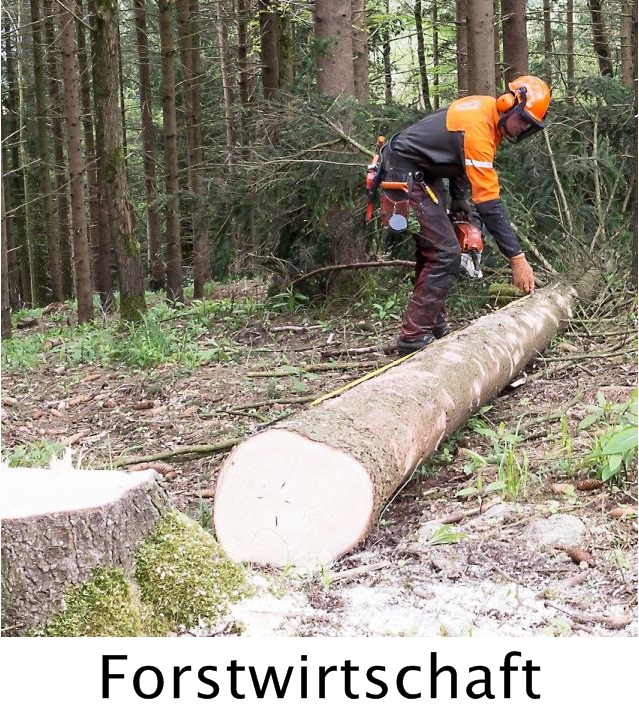 Forstwirtschaft